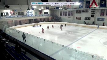 Replay: Home - 2024 Riptide Mite vs Arrows Major Mite | Feb 17 @ 10 AM