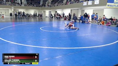 93 lbs Semis (4 Team) - Kallen Theisen, NYM (New York Mills) vs Mak Pesek, Canby