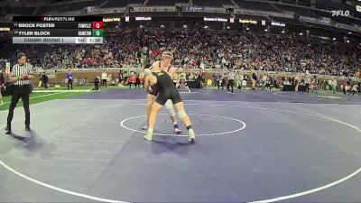 D2-175 lbs Champ. Round 1 - Brock Foster, Fowlerville HS vs Tyler Block, Hamilton HS