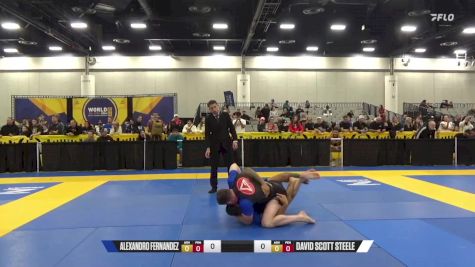 David Scott Steele vs Alexandro Fernandez 2024 World IBJJF Jiu-Jitsu No-Gi Championship