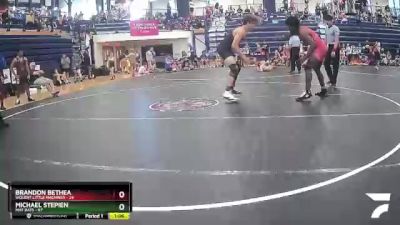 170 lbs Round 2 (6 Team) - Michael Stepien, Mat Rats vs Brandon Bethea, Violent Little Machines