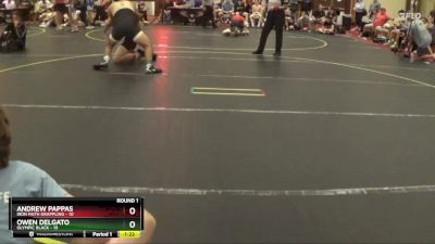 167 lbs Round 1 (6 Team) - Owen Delgato, Olympic Black vs Andrew Pappas, Iron Faith Grappling