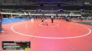 Rookie 3-5 60 Quarterfinal - Hunter Galeano, Grafton Youth Wrestling vs Alexander Ackerman, Bull Island Grappling