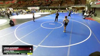 113 lbs Quarterfinal - Aaron Meza, Sunkist Kids Monster Garage vs Logan Alexander, USA Gold Wrestling Club