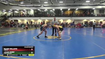 174 lbs Quarterfinal - Louka Babic, Case Western vs Blake Williams, Adrian