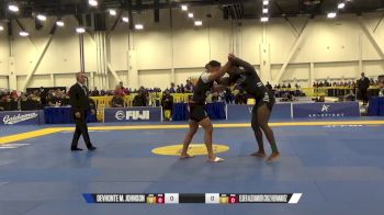 Elder Alexander Cruz Hernandez vs Devhonte M. Johnson 2024 World IBJJF Jiu-Jitsu No-Gi Championship