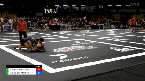 Vinicius Dylan Ramos De Lima Per vs Julio Suzigan Martins 2024 ADCC South American Trials 1