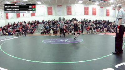 132 lbs Cons. Semi - Wyant Dobran, Conneaut vs Brady Johnson, Chardon