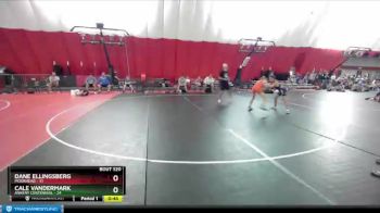 97-103 lbs Round 2 - Dane Ellingsberg, Moorhead vs Cale Vandermark, Ankeny Centennial