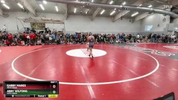 115 lbs Champ. Round 2 - Gabby Mares, Mesa Ridge vs Abby Wilfong, Vista Ridge