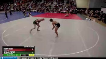 182 lbs Champ. Round 1 - Alex Riley, Waconia vs Dylan Peper, Rochester Mayo