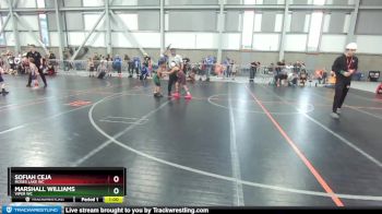 87-99 lbs Round 3 - Sofiah Ceja, Moses Lake WC vs Marshall Williams, Viper WC