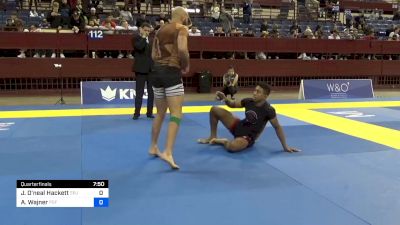 Jason O'neal Hackett vs Alejandro Wajner 2024 Pan IBJJF Jiu-Jitsu No-Gi Championship