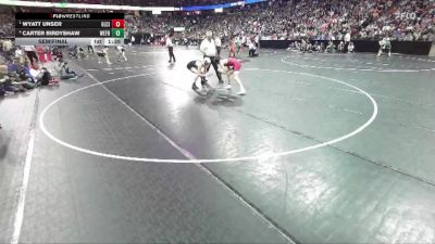 D3-138 lbs Semifinal - Wyatt Unser, Glenwood City vs Carter Birdyshaw, Weyauwega-Fremont