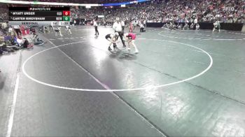 D3-138 lbs Semifinal - Wyatt Unser, Glenwood City vs Carter Birdyshaw, Weyauwega-Fremont