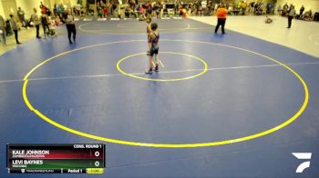 80 lbs Cons. Round 1 - Levi Baynes, Waconia vs Kale Johnson, Zumbrota/Mazeppa