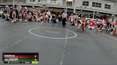 60 lbs Semis (4 Team) - Ash Henecker, RedNose Wrestling vs Hunter Ha, Hammers Yellow