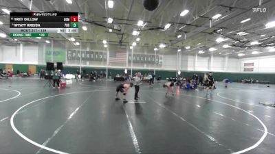 149 lbs Cons. Semi - Wyatt Krejsa, Purdue vs Trey Dillow, Central Missouri