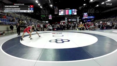 132 lbs Cons. Rd Of 32 - Zyan Westbrook, IL vs Landon Salindong, CA
