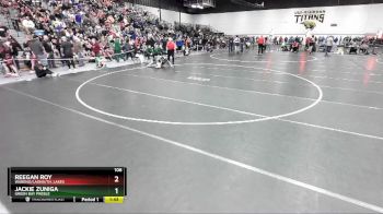 106 lbs Champ. Round 2 - Reegan Roy, Wabeno/Laona/Th. Lakes vs Jackie Zuniga, Green Bay Preble