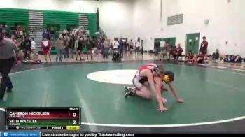 120 lbs Quarterfinal - Cameron Mickelsen, Star Valley vs Seth Wazelle, Rawlins