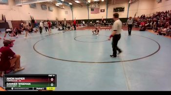 106 lbs Round 1 (10 Team) - Danner Wiseman, Moorcroft vs Amon Napier, Torrington