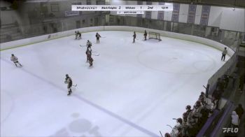 Replay: Home - 2023 Black Knights U13 AA vs Wildcats U13 AA | Oct 14 @ 2 PM