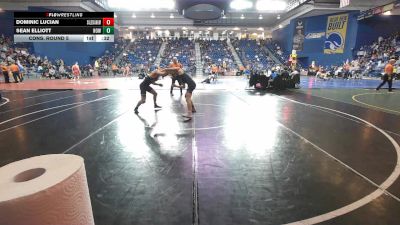 126 lbs Cons. Round 5 - Sean Elliott, Howell vs Dominic Lucian, Salesianum
