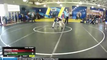120 lbs Cons. Round 1 - Giulian Mestre, TOWC vs Anthony O`Dell, Golden Bears