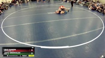 90 lbs Round 5 (6 Team) - Cruz Gannon, Iowa USA Red vs Jantz Greenhalgh, Utah