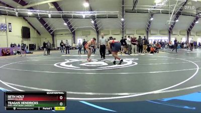 165 lbs Quarterfinal - Seth Holt, Hiram College vs Teagan Hendricks, Ohio Northern Univerity