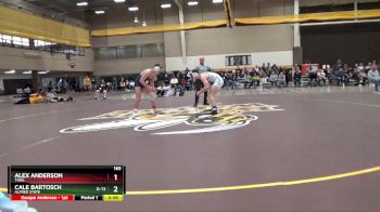 165 lbs Cons. Round 4 - Cale Bartosch, Alfred State vs Alex Anderson, Thiel