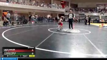 45 lbs Semis & 1st Wrestleback (8 Team) - Cygnus Walz, Staples-Motley vs Jace Gahler, Pierz