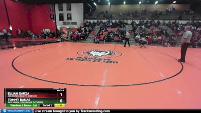 132 lbs 3rd Place Match - Tommy Banas, New Lenox (PROVIDENCE CATHOLIC) vs Elijah Garza, Arlington Heights (HERSEY)