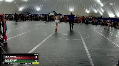 88 lbs Round 6 (10 Team) - Kyla Strohl, Michigan Gold Pittbulls vs Evan Tanner, Foundry WC