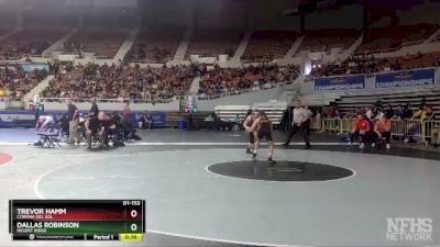 D1-132 lbs Cons. Semi - Trevor Hamm, Corona Del Sol vs Dallas Robinson, Desert Ridge