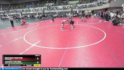 95 lbs Champ. Round 2 - Hudson Solting, Jack Pine Savage Wrestling vs Grayson Mentink, Wisconsin