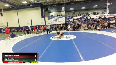 165 lbs Quarterfinal - Aiden Brosinski, Wartburg vs Kale Roth, University Of Dubuque