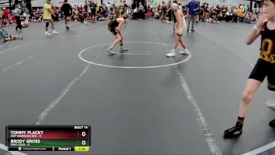 76 lbs Round 4 (8 Team) - Brody Gross, Ohio Gold vs Tommy Placky, Mat Warriors Red