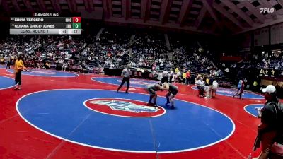 235 lbs Cons. Round 1 - Erika Tercero, Gilmer County vs Quiana Grice- Jones, Shiloh