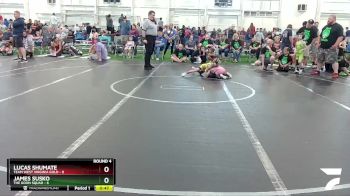 44 lbs Round 4 (6 Team) - Lucas Shumate, Team West Virginia Gold vs James Susko, The Goon Squad