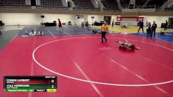 138 lbs 19th Place Match - Cowan Lambert, Holmen vs Cole Herrmann, New Prague