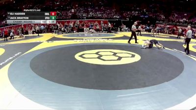 D1-126 lbs Champ. Round 1 - Jack Bratton, Springboro vs Eli Hadden, Big Walnut