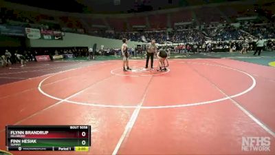 5A-150 lbs Champ. Round 1 - Finn Hesiak, Summit vs Flynn Brandrup, Hillsboro