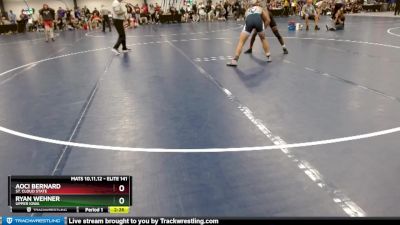 Elite 141 lbs Cons. Round 4 - Ryan Wehner, Upper Iowa vs Aoci Bernard, St. Cloud State