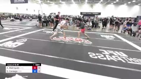 Andrew Rodriguez vs Diego Careaga 2023 ADCC Dallas Open