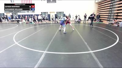 190 lbs Cons. Round 2 - Caysen Martinek, WI vs Alexander Williams, IL