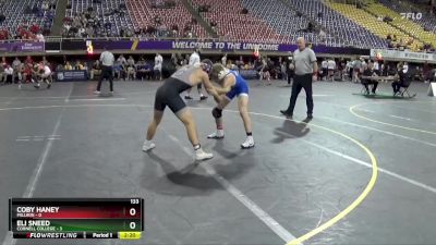 133 lbs Semis & 1st Wrestleback (8 Team) - Coby Haney, Millikin vs Eli Sneed, Cornell College