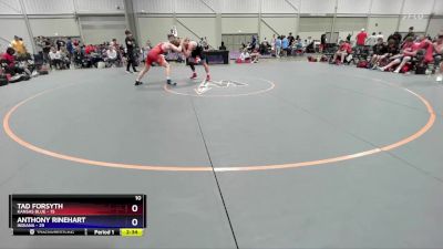 175 lbs 4th Wrestleback (16 Team) - Tad Forsyth, Kansas Blue vs Anthony Rinehart, Indiana