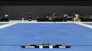 Elisei Lazovskii vs Dennis Dai 2025 ADCC Asia & Oceania Championship
